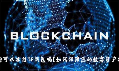 公安可以冻结TP钱包吗？如何保障您的数字资产安全