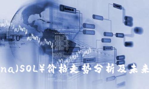 Solana（SOL）价格走势分析及未来展望