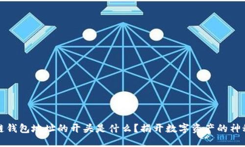 区块链钱包地址的开头是什么？揭开数字资产的神秘面纱
