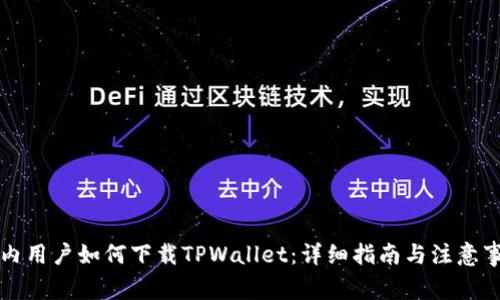 国内用户如何下载TPWallet：详细指南与注意事项